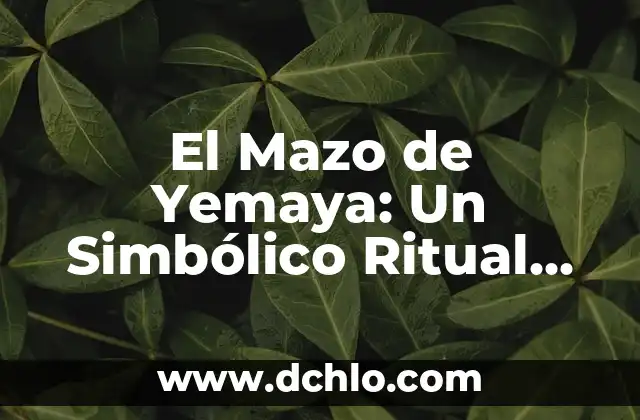 Significado del Estrella de Mar 8 El Mazo de Yemaya: Un Simbólico Ritual en el Mar