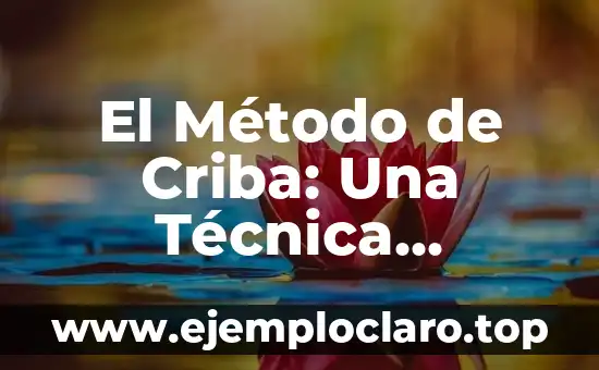 El Método de Criba: Una Técnica Esencial en Diversas Disciplinas