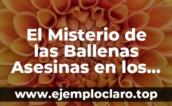 El Misterio de las Ballenas Asesinas en los Sueños