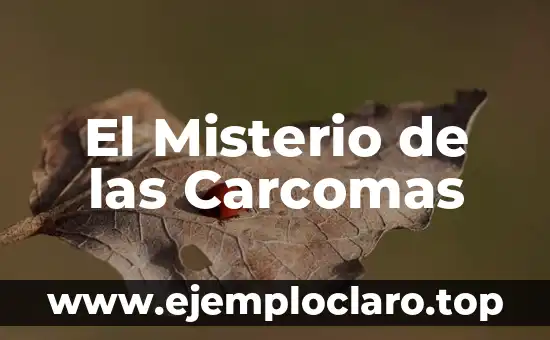 El Misterio de las Carcomas