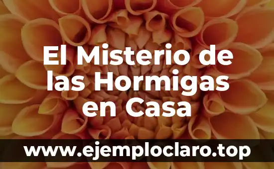 El Misterio de las Hormigas en Casa
