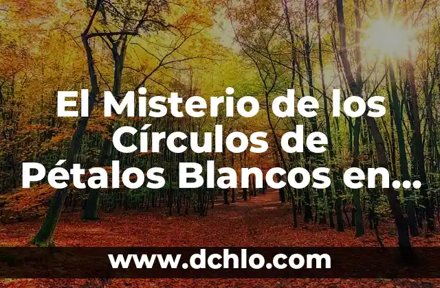 Flor de Seis Pétalos - Simbolismo y Significado 7 El Misterio de los Círculos de Pétalos Blancos en los Rituales: Un Análisis Profundo