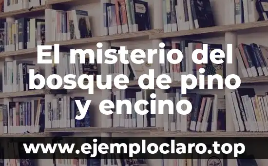 El misterio del bosque de pino y encino
