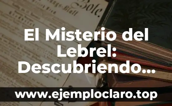 El Misterio del Lebrel: Descubriendo su Significado y Concepto