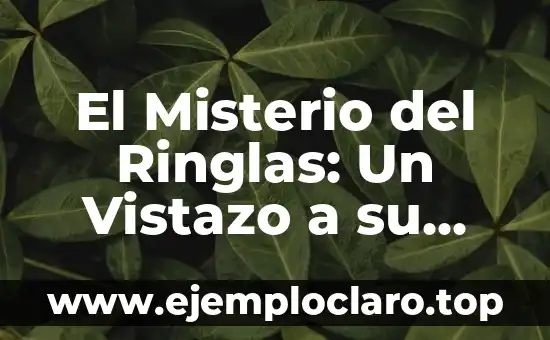 Budismo, la religión de China: significado y esencia 3 El Misterio del Ringlas: Un Vistazo a su Significado y Origen