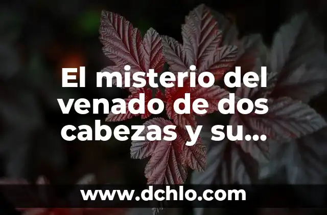 El Misterio del Niño de Dos Cabezas: Un Viaje a Través de la Historia y la Cultura 3 El misterio del venado de dos cabezas y su significado