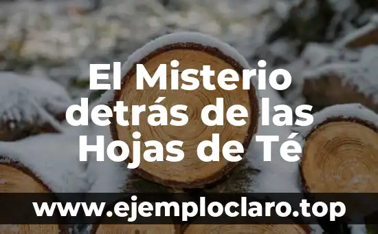 El Misterio detrás de las Hojas de Té