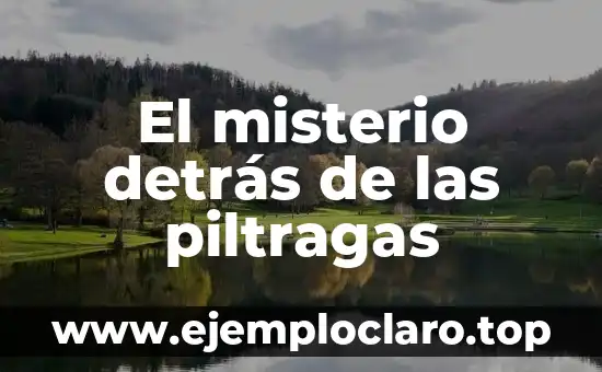 Sacame de aquí, Bunbury: Un viaje al significado detrás de la frase 5 El misterio detrás de las piltragas