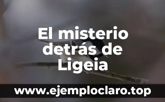 Sacame de aquí, Bunbury: Un viaje al significado detrás de la frase 6 El misterio detrás de Ligeia