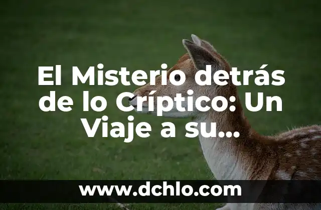 Nanacamilpa - Un Misterio Lingüístico 5 El Misterio detrás de lo Críptico: Un Viaje a su Etimología