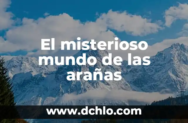 Cómo son las Picaduras de Arañas: Guía Completa y Detallada 3 El misterioso mundo de las arañas