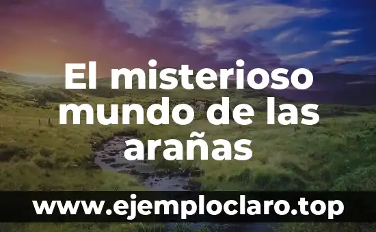 El misterioso mundo de las arañas