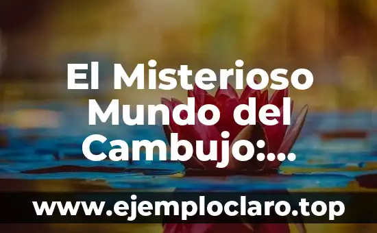 Descubre el significado del nombre Erika: Orígenes y simbolismo 8 El Misterioso Mundo del Cambujo: Descubre su Significado y Orígenes