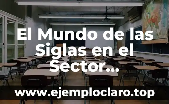 Significado de las Diferencias de Género en el Sector Dev 6 El Mundo de las Siglas en el Sector Gastronómico
