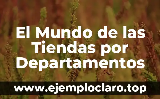 El Mundo de las Tiendas por Departamentos