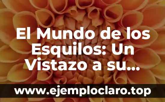 El Mundo de los Esquilos: Un Vistazo a su Significado y Concepto