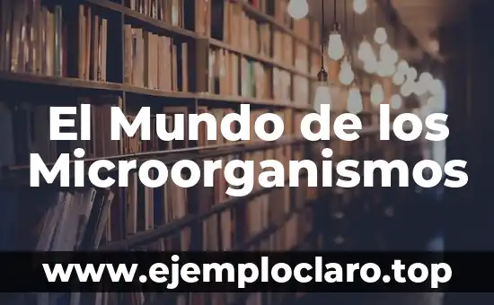 El Mundo de los Microorganismos