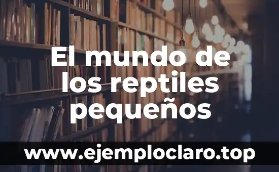 El mundo de los reptiles pequeños