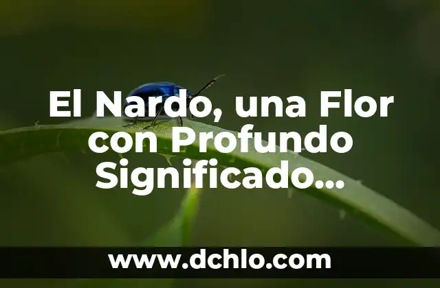 La Leyenda del Indomable Final Explicado: Un Análisis Profundo 7 El Nardo, una Flor con Profundo Significado Histórico y Cultural