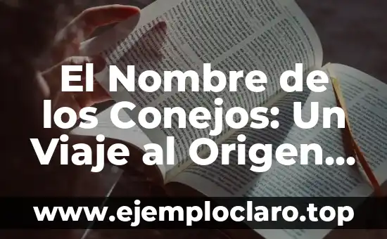 El Nombre de los Conejos: Un Viaje al Origen de su Significado