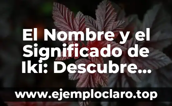 Nisi, el Nombre de Niña con un Origen Misterioso 3 El Nombre y el Significado de Iki: Descubre su Origen y Aplicación