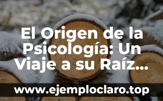 El Origen de la Psicología: Un Viaje a su Raíz Etimológica