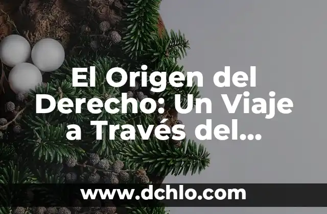 El Significado de Hidra: Un Viaje a Través de la Mitología y Más 3 El Origen del Derecho: Un Viaje a Través del Tiempo