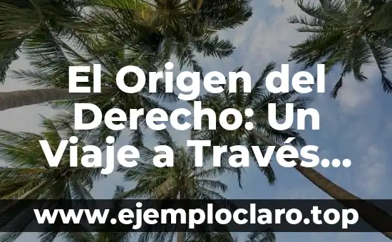El Origen del Derecho: Un Viaje a Través del Tiempo
