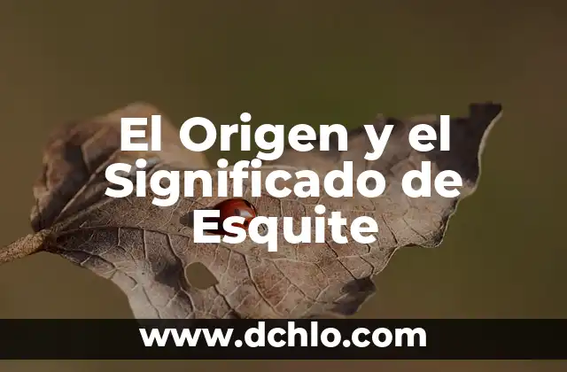 Significado en español de minial 7 El Origen y el Significado de Esquite