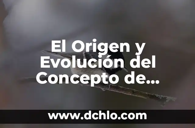 Descubriendo el Origen de la Lógica 4 El Origen y Evolución del Concepto de Cultura