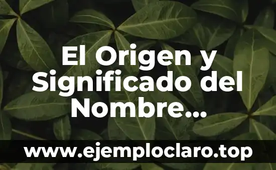 El Origen y Significado del Nombre Michelle