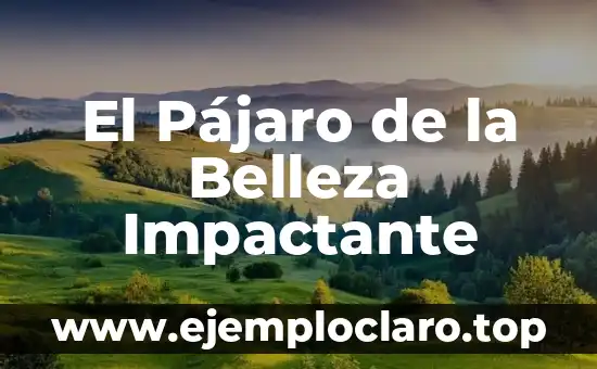 Significados de los cánones de belleza 5 El Pájaro de la Belleza Impactante