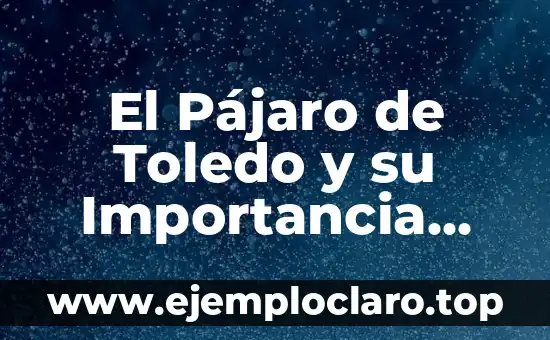 Mejores pinturas de Toledo significado 3 El Pájaro de Toledo y su Importancia Histórica