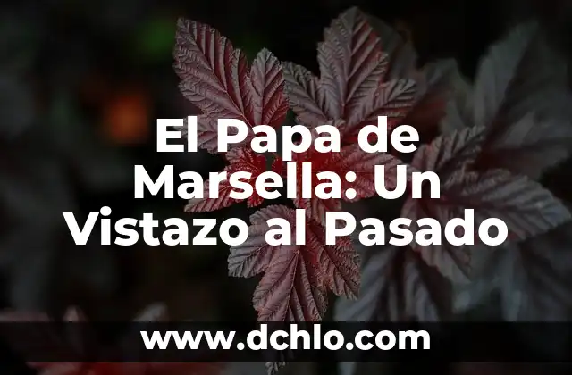 Significado de Sudras: Un Vistazo a su Rol en la Sociedad Hindú 5 El Papa de Marsella: Un Vistazo al Pasado