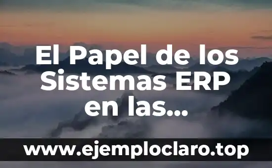 El Papel de los Sistemas ERP en las Empresas Modernas