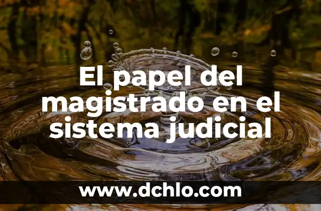 Cuánto Cuesta un Sistema Operativo Windows 11: Precio y Opciones de Licencia 5 El papel del magistrado en el sistema judicial