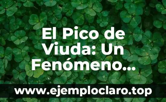 El Poder del Fenómeno de la Flotabilidad: Entendiendo el Principio de Arquímedes 8 El Pico de Viuda: Un Fenómeno Fisionómico