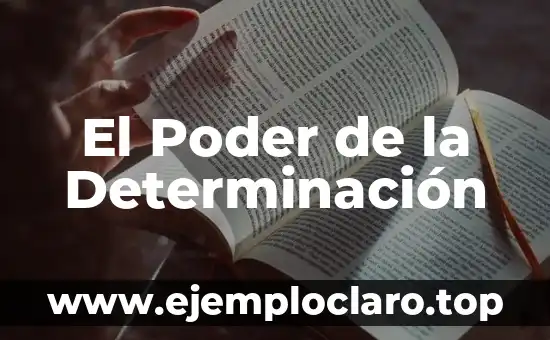 Michel Foucault y el Poder de la Escritura 5 El Poder de la Determinación