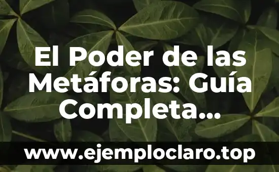 Supervisión gubernamental: Una guía completa 8 El Poder de las Metáforas: Guía Completa Sobre su Significado y Uso