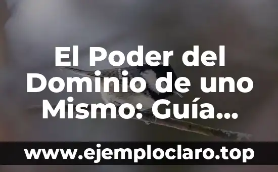 Significado de Stretching: Descubre el Poder del Estiramiento 6 El Poder del Dominio de uno Mismo: Guía Completa