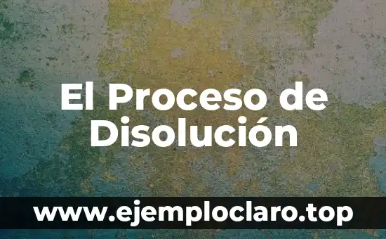 Fabricar: Concepto y Proceso de Manufactura 8 El Proceso de Disolución