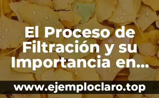 Investigar el significado de destilación: La purificación de líquidos 5 El Proceso de Filtración y su Importancia en la Purificación