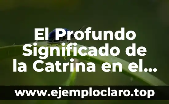 El Profundo Significado de la Catrina en el Día de los Muertos
