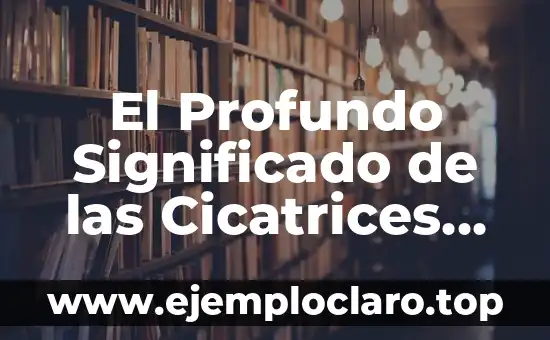 Asaltacunas: Un concepto histórico profundo 7 El Profundo Significado de las Cicatrices Emocionales