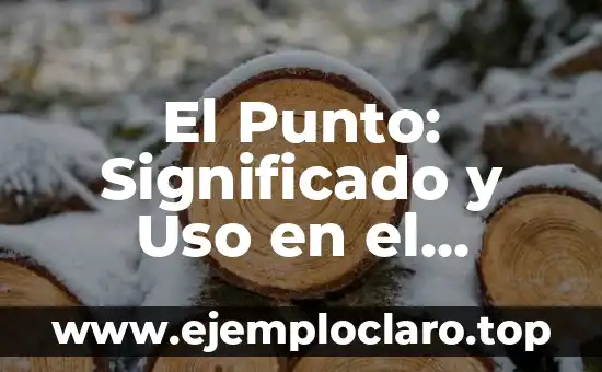 El Punto: Significado y Uso en el Lenguaje