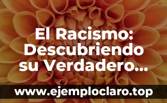 El Racismo: Descubriendo su Verdadero Significado