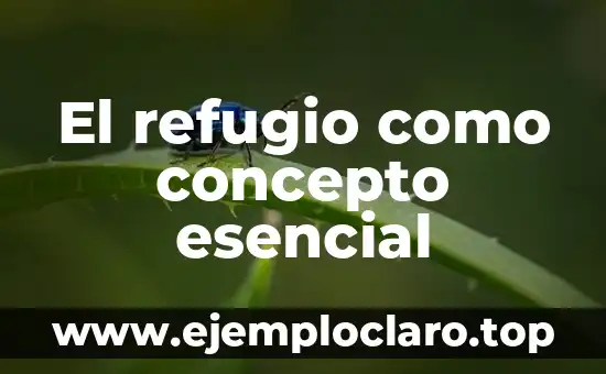 El refugio como concepto esencial
