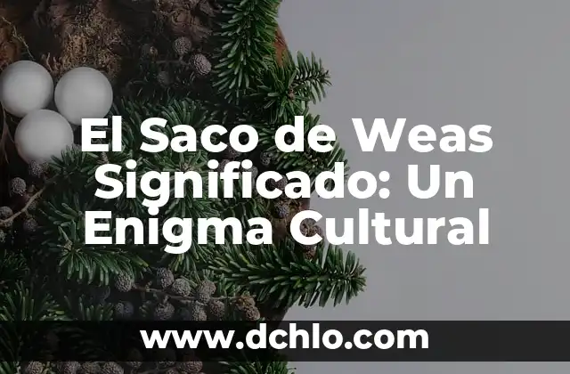 Cómo Lavar un Saco de Dormir: Guía Detallada y Práctica 5 El Saco de Weas Significado: Un Enigma Cultural
