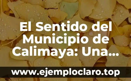 El Sentido del Municipio de Calimaya: Una Exploración Profunda