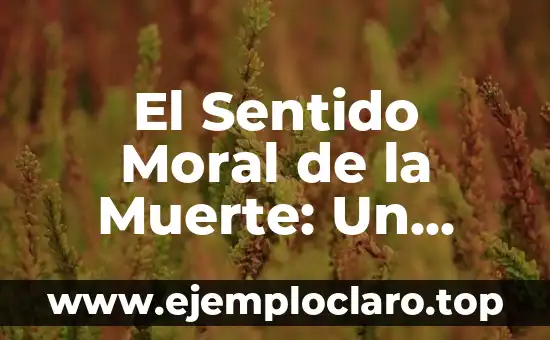 Cuadro de Valores: Un Marco para la Ética y la Moral 6 El Sentido Moral de la Muerte: Un Análisis Profundo